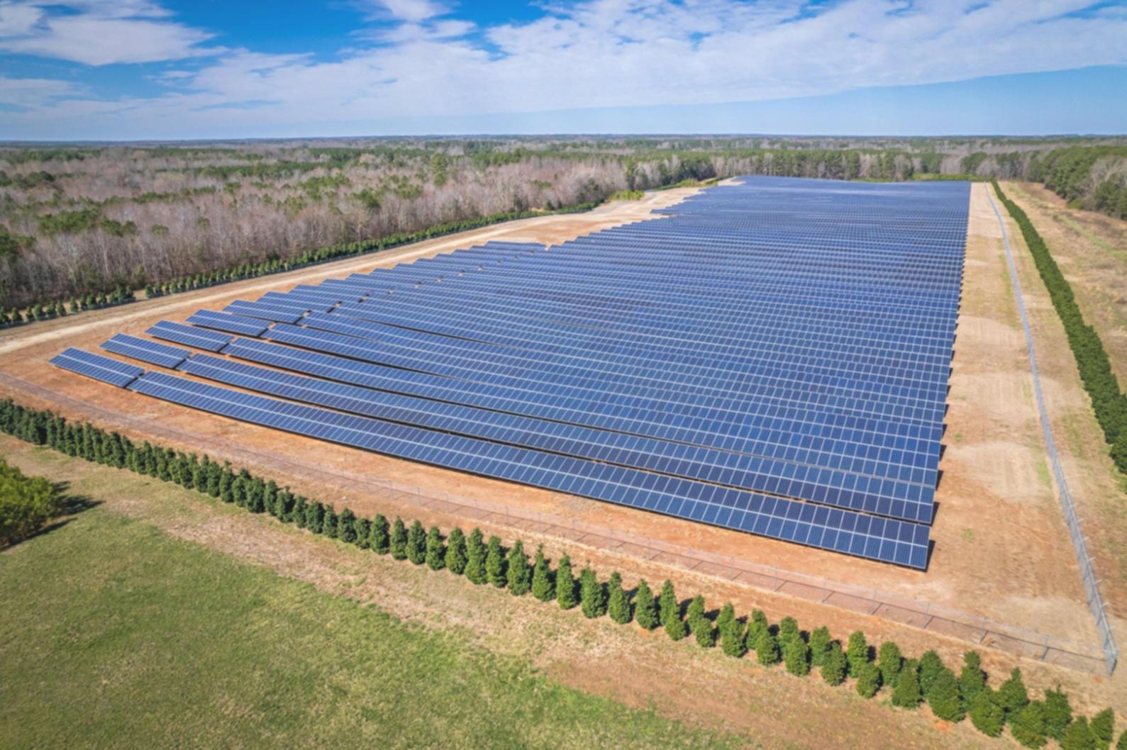 Karriereperspektiven in der Energiebranche